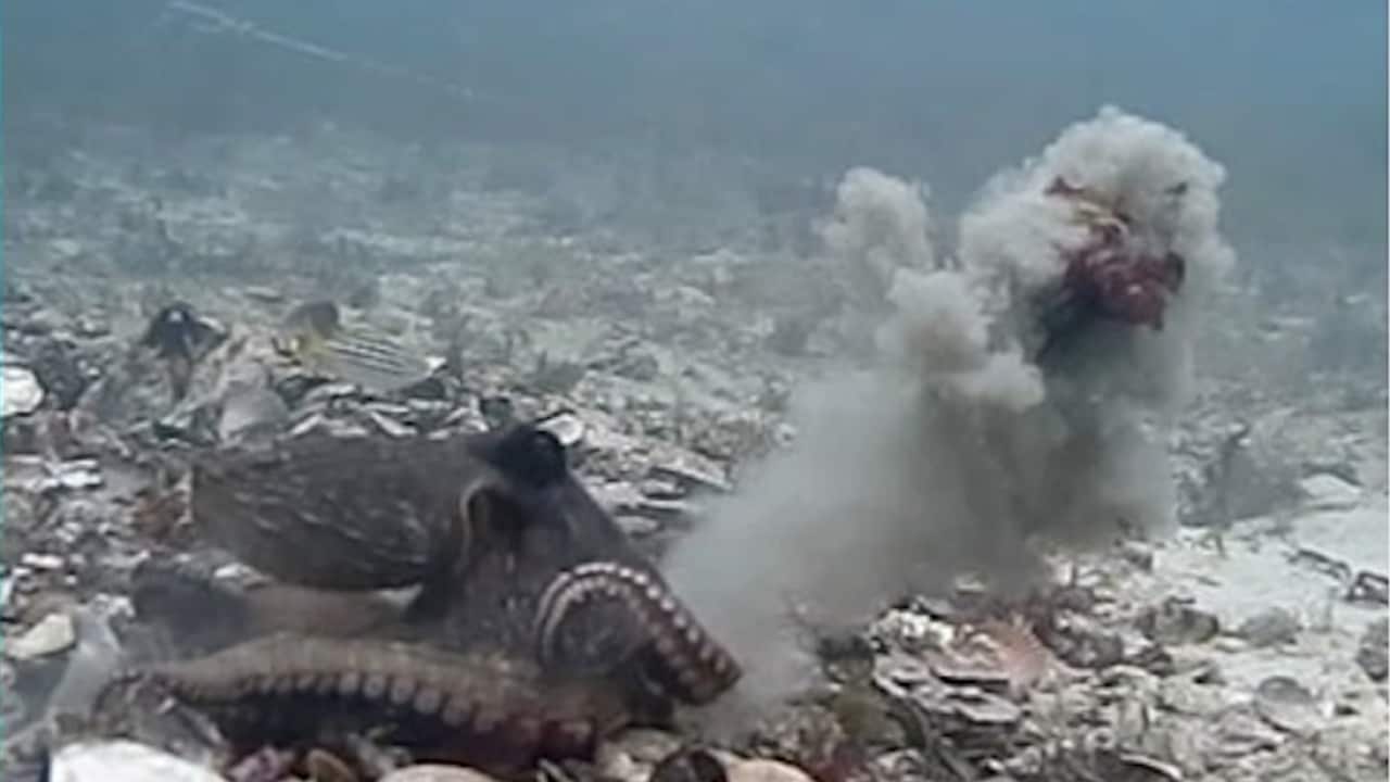 Screenshot 2023-04-27 at 19.31.53.png