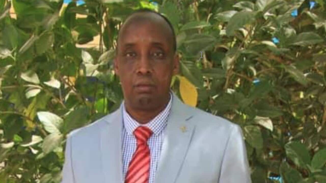 Abdifanic mp