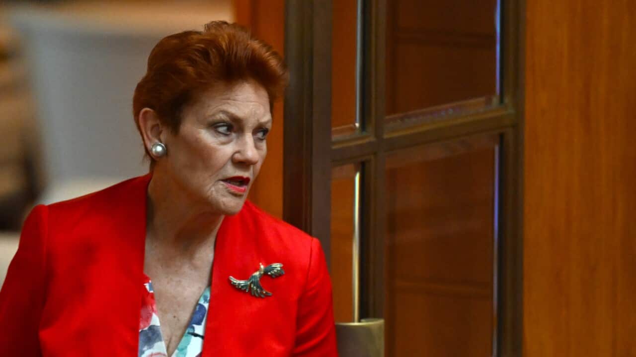 SENATE QUESTION TIME