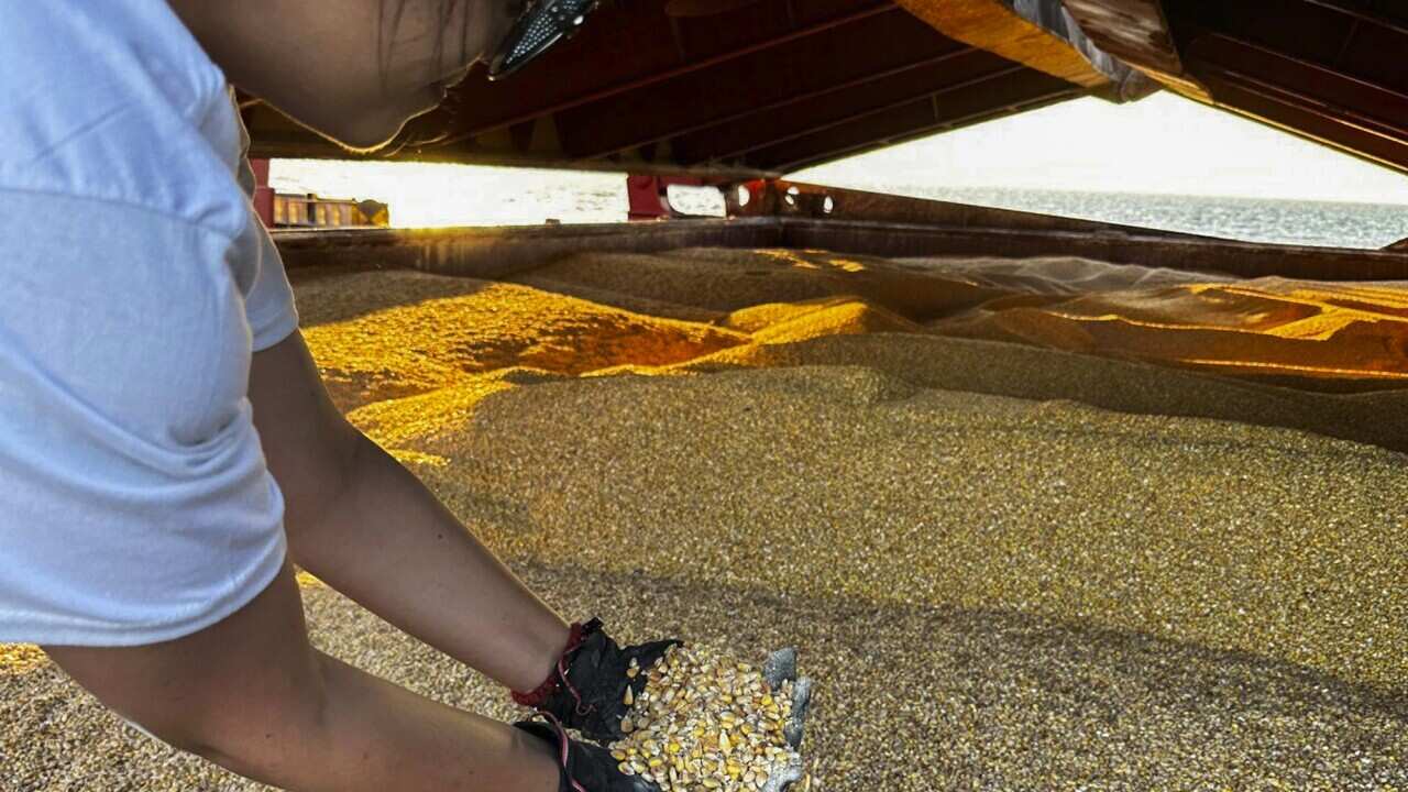 Turkey Russia Ukraine War Grain Deal