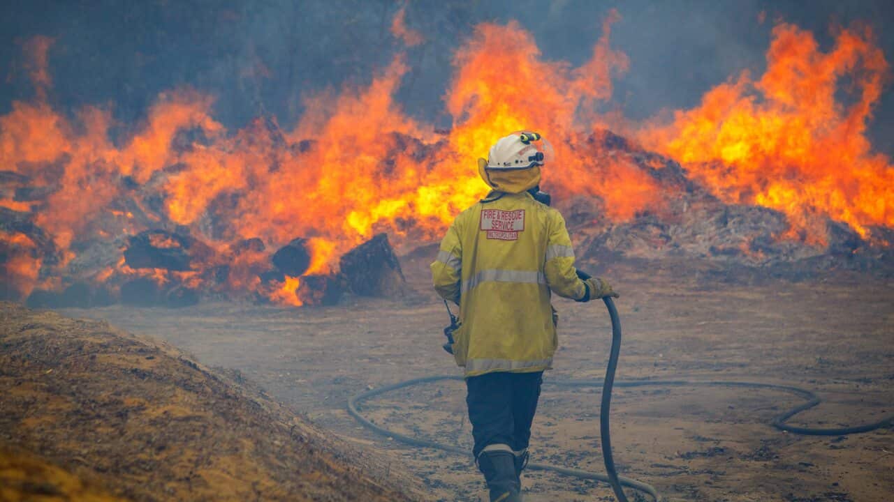 Image for read more article ''