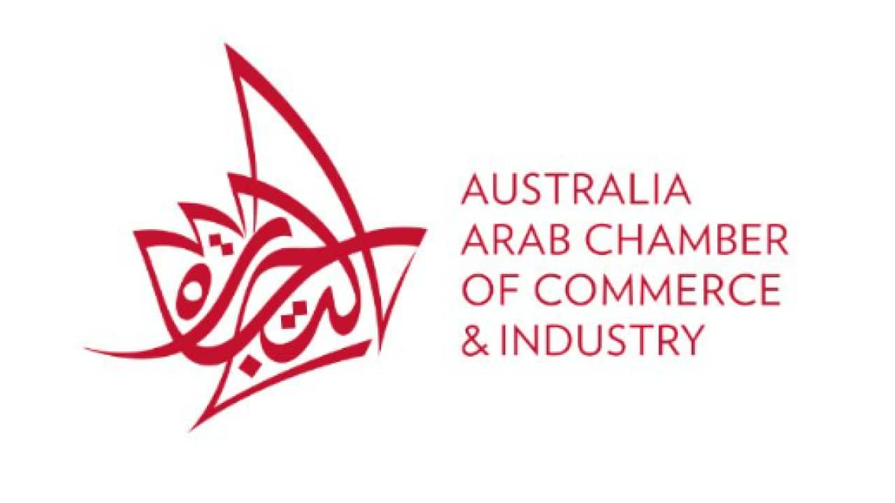 Anti-government protesters wave national flags