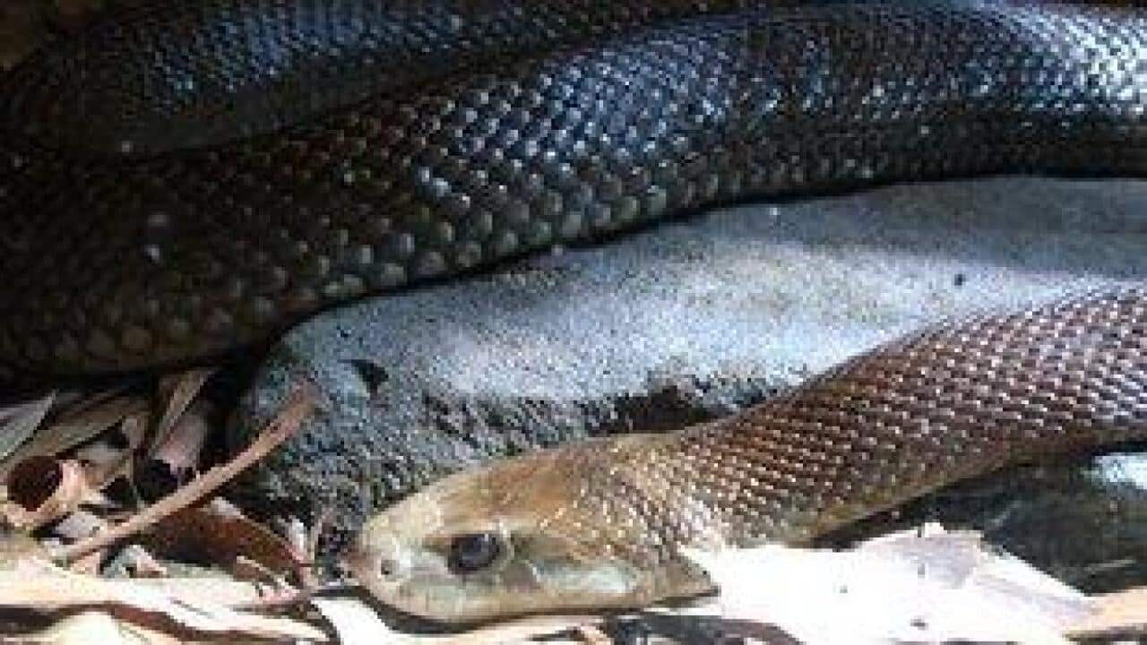 Image for read more article 'RELATED READING'