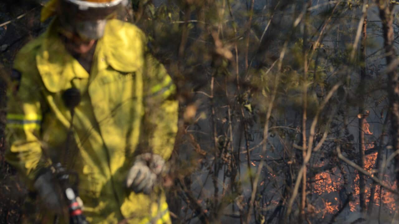 A Queensland Fire and Rescue crew member performs back burning