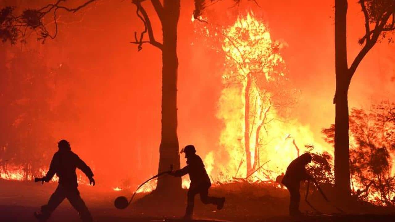 Bushfires