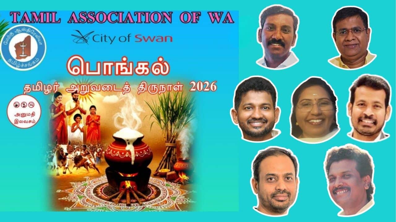 Copy of ALC Header Window Insert (1).jpg