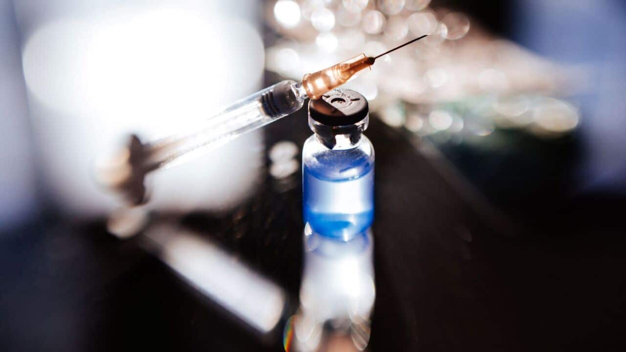 The search for a coronavirus vaccine is an international effort