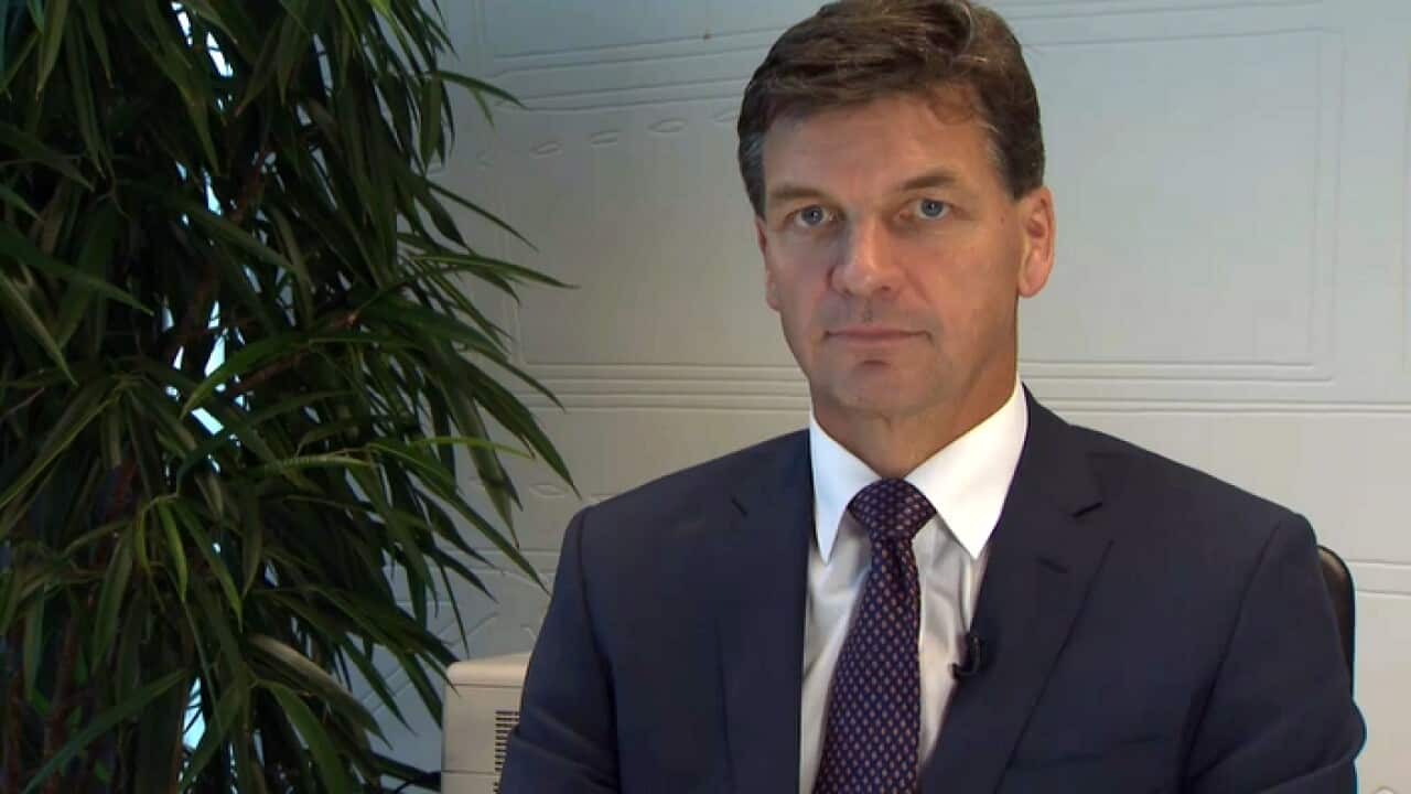 Angus Taylor