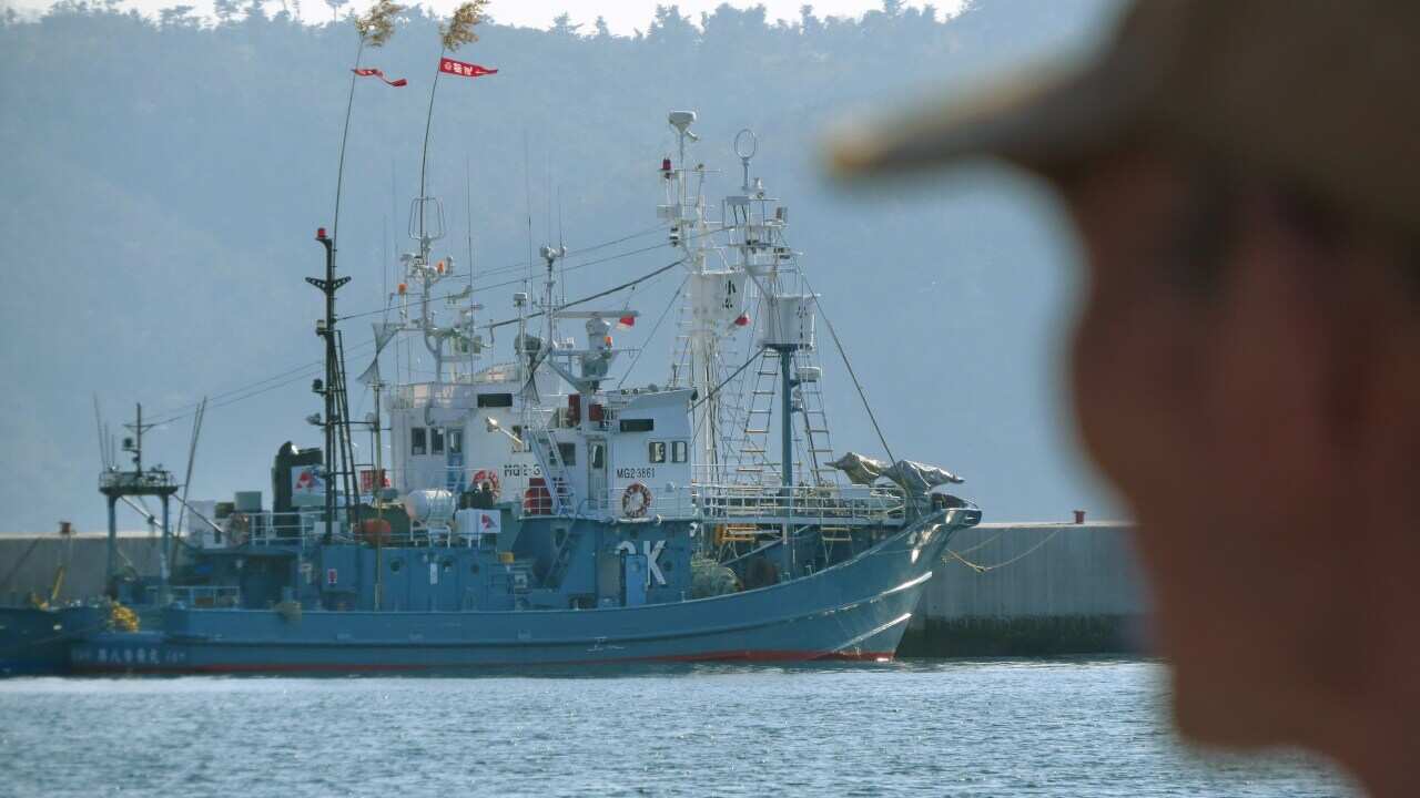 Japan whaling ships anchored