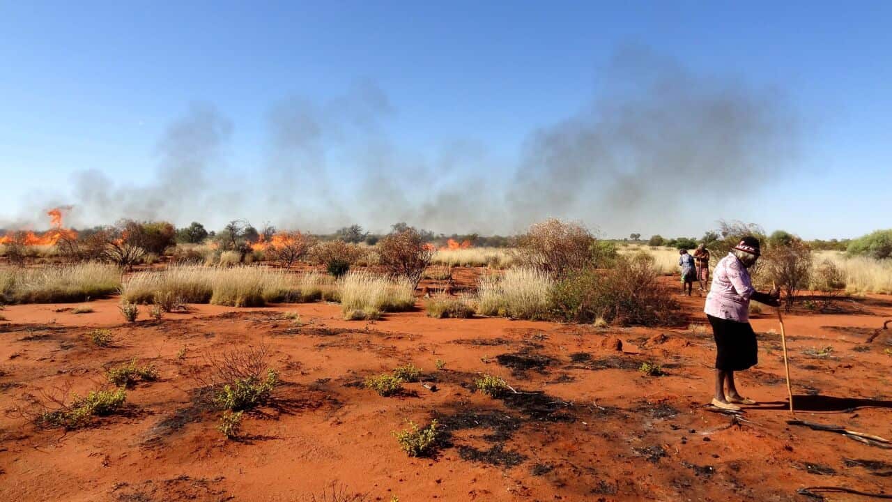 Hunting for sand monitor near Parnngurr Community - Photo by Rebecca Bliege Bird.jpg