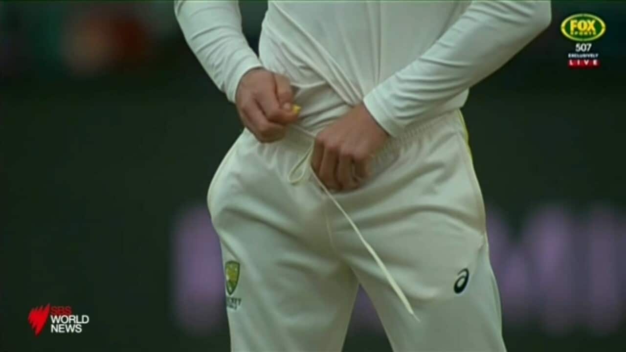 sports cheats