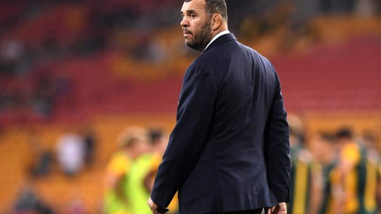 Michael Cheika