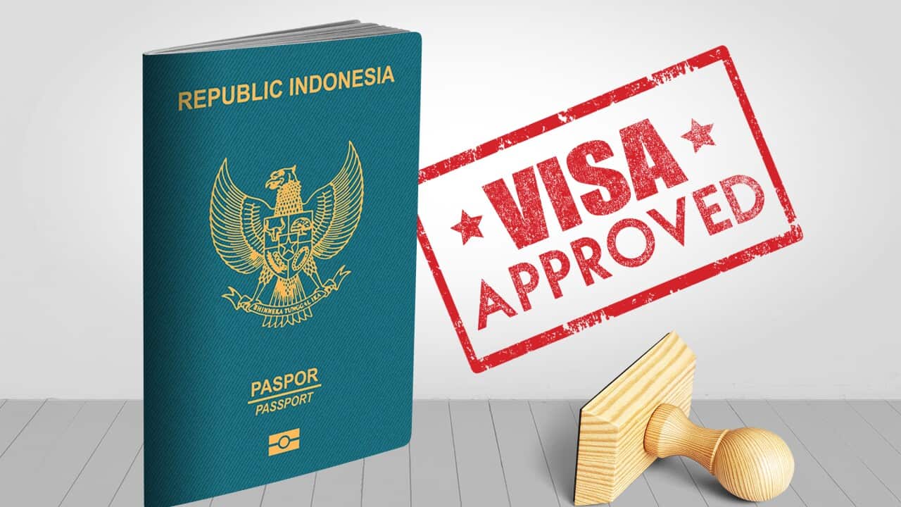 Indonesian Passport with Visa Approved Wooden Stamp for Travel