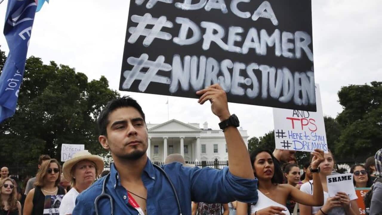 Dreamer protesters