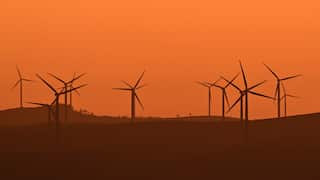 RENEWABLE ENERGY STOCK