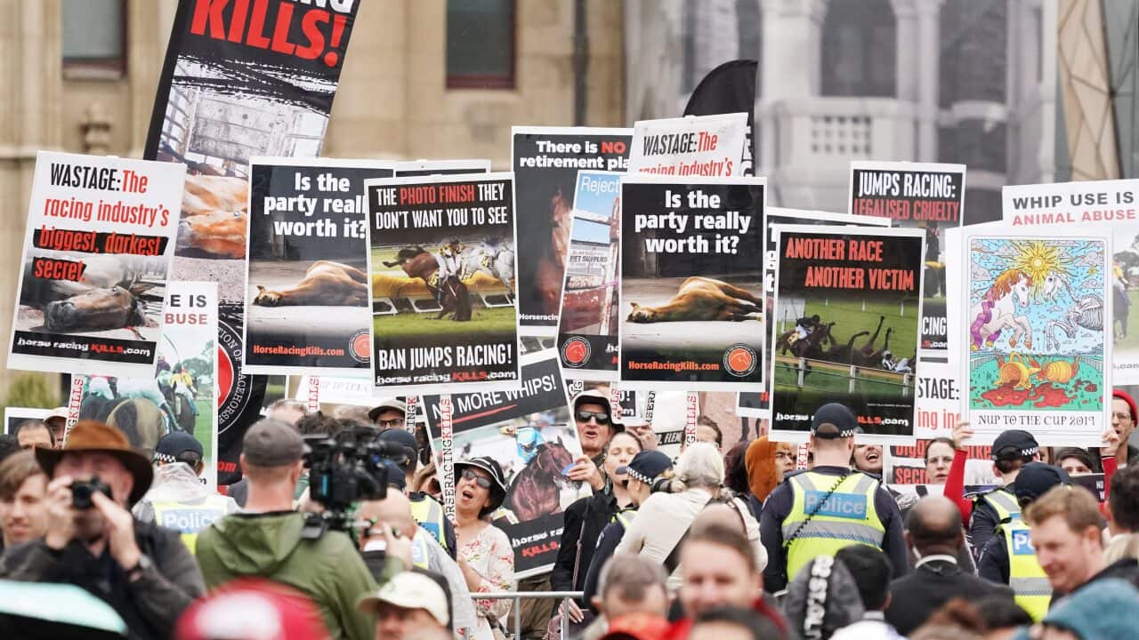 Protesters during the Melbourne Cup Parade.
