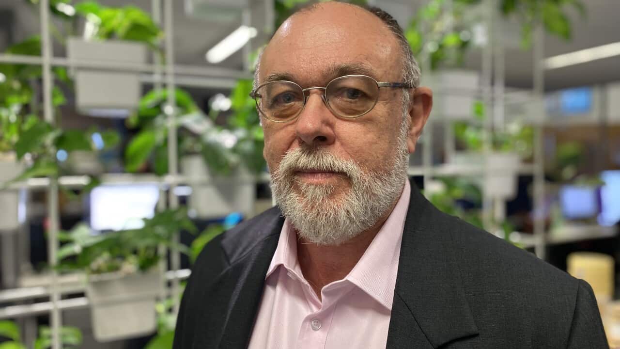 Angus Witherby is a city planner who says he can't afford to retire - SBS Insight .jpg