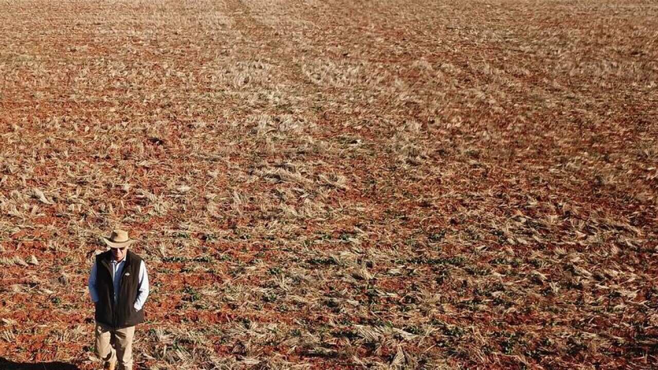 Drought has hit farms across the country.