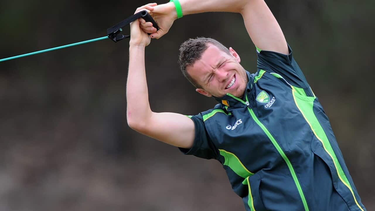 Australia quick Peter Siddle