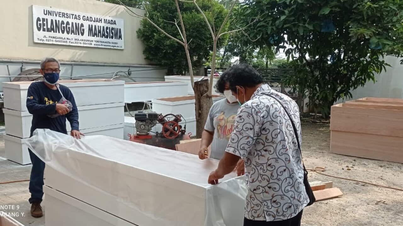 Relawan Peti Mati Yogyakarta