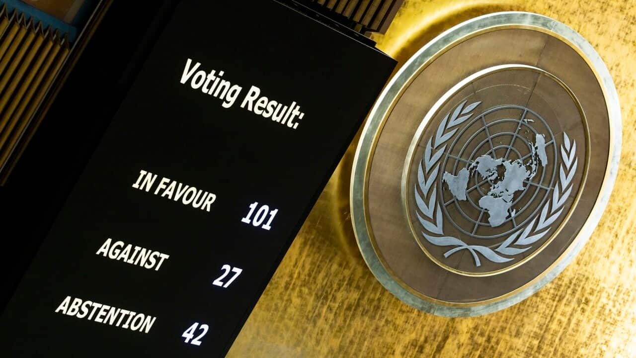 United Nations General Assembly votes on non-binding resolutions on Palestine