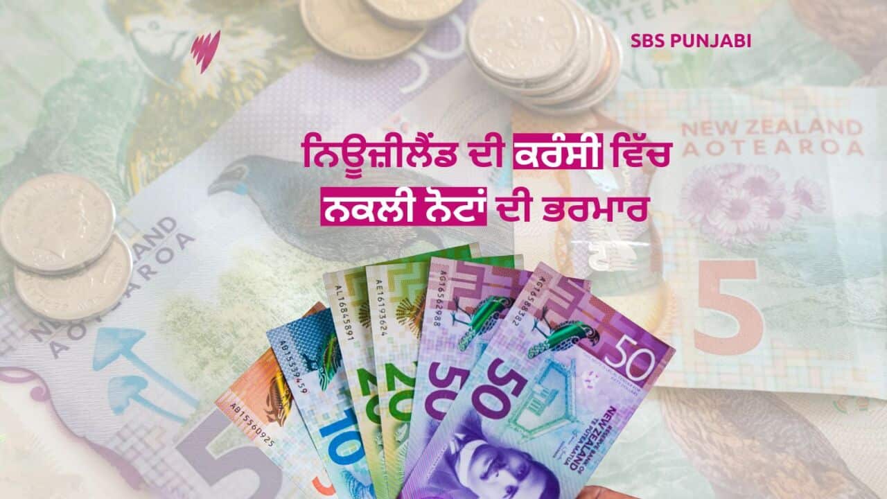 Image for read more article 'READ MORE'