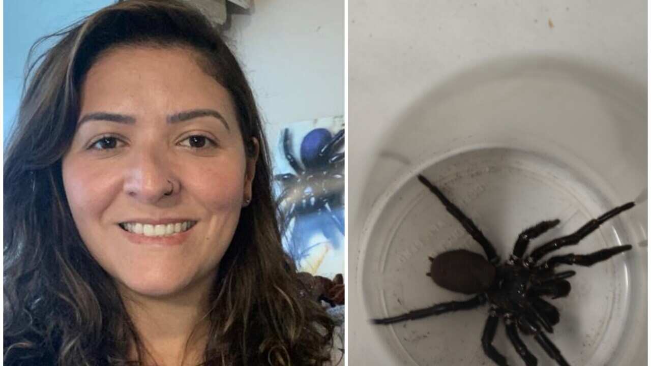 vanessa_goncalves_aranha.jpg