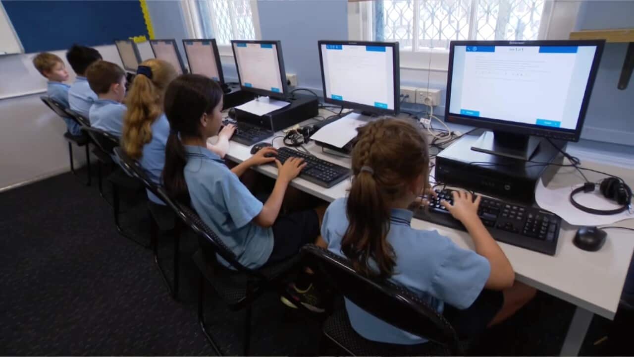 NAPLAN results show little to no improvement on last year (SBS).jpg