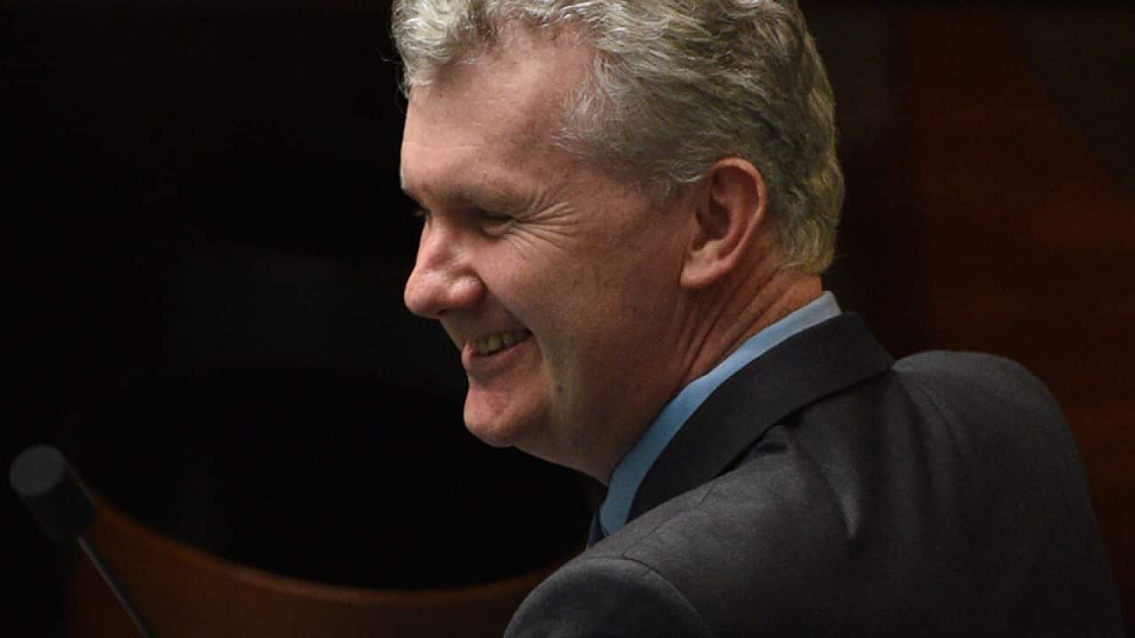 Labor Shadow Minister for Finance Tony Burke