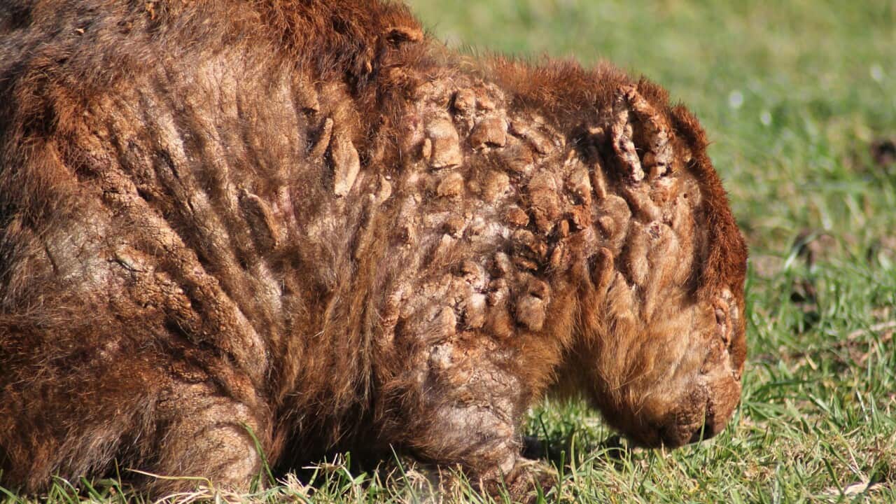 Image for read more article ''