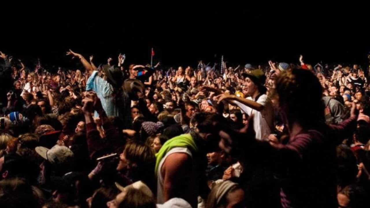 How pill testing could change Australian music festivals SBS News