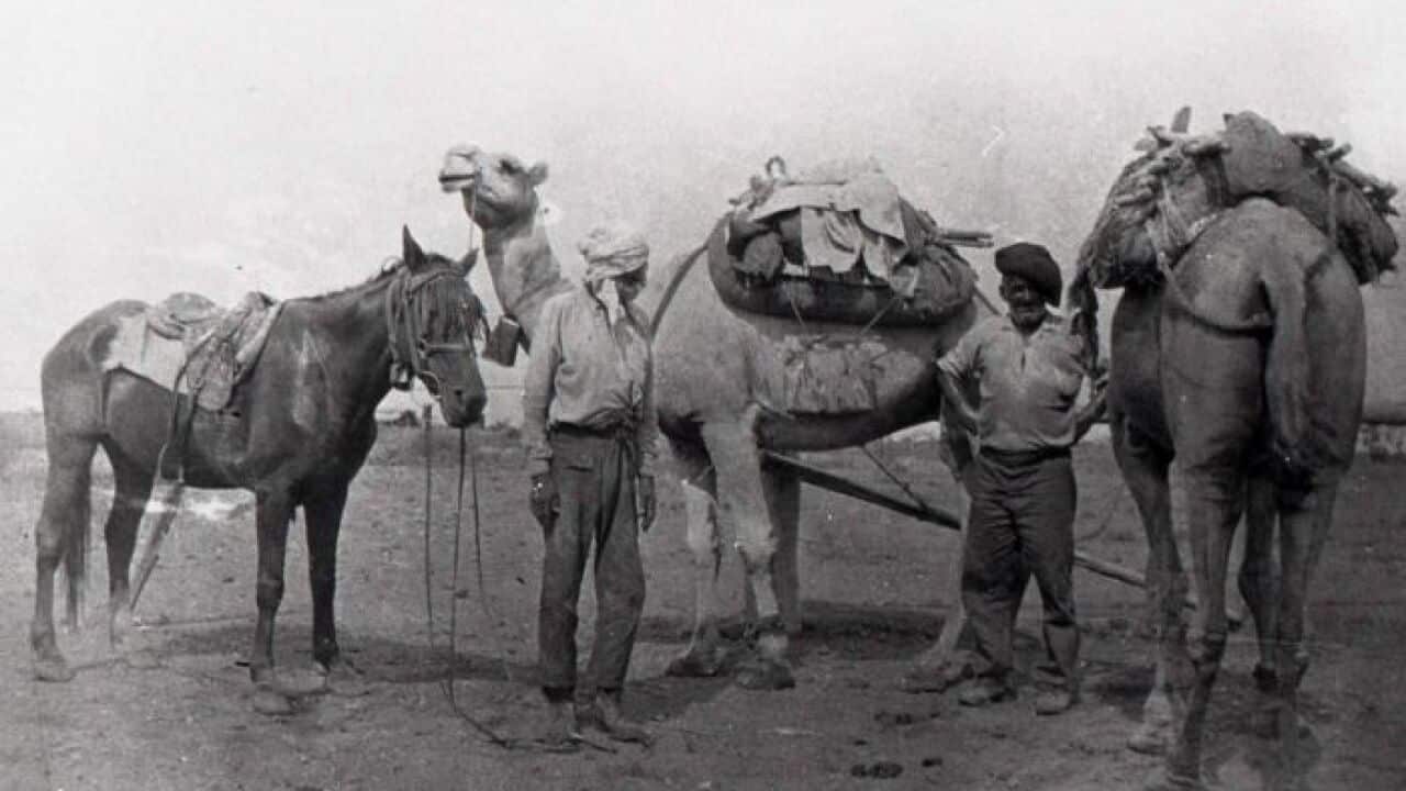 Image for read more article 'READ MORE'