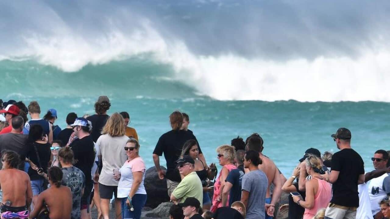 Crowds of people are seen watching the waves