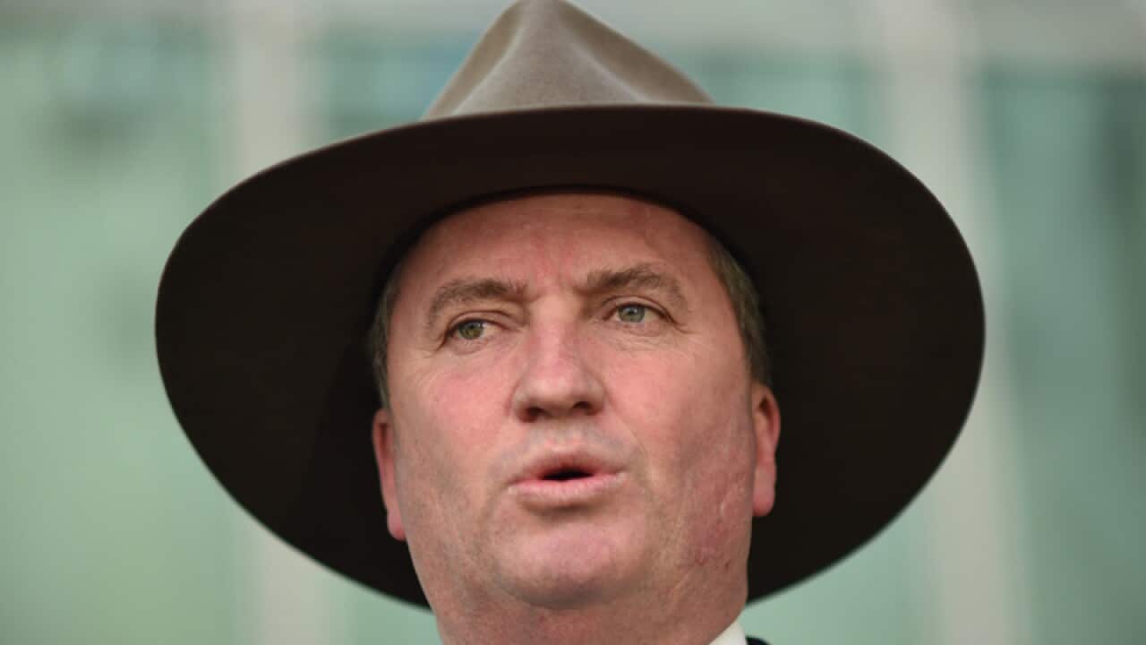 Australia's Deputy Prime Minister Barnaby Joyce