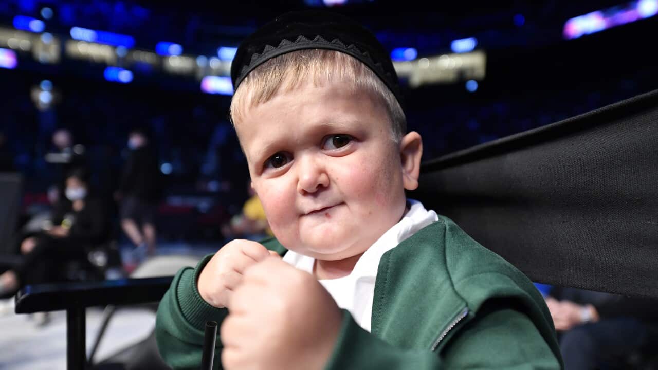 Hasbulla Magomedov raises his fists in fight mode.