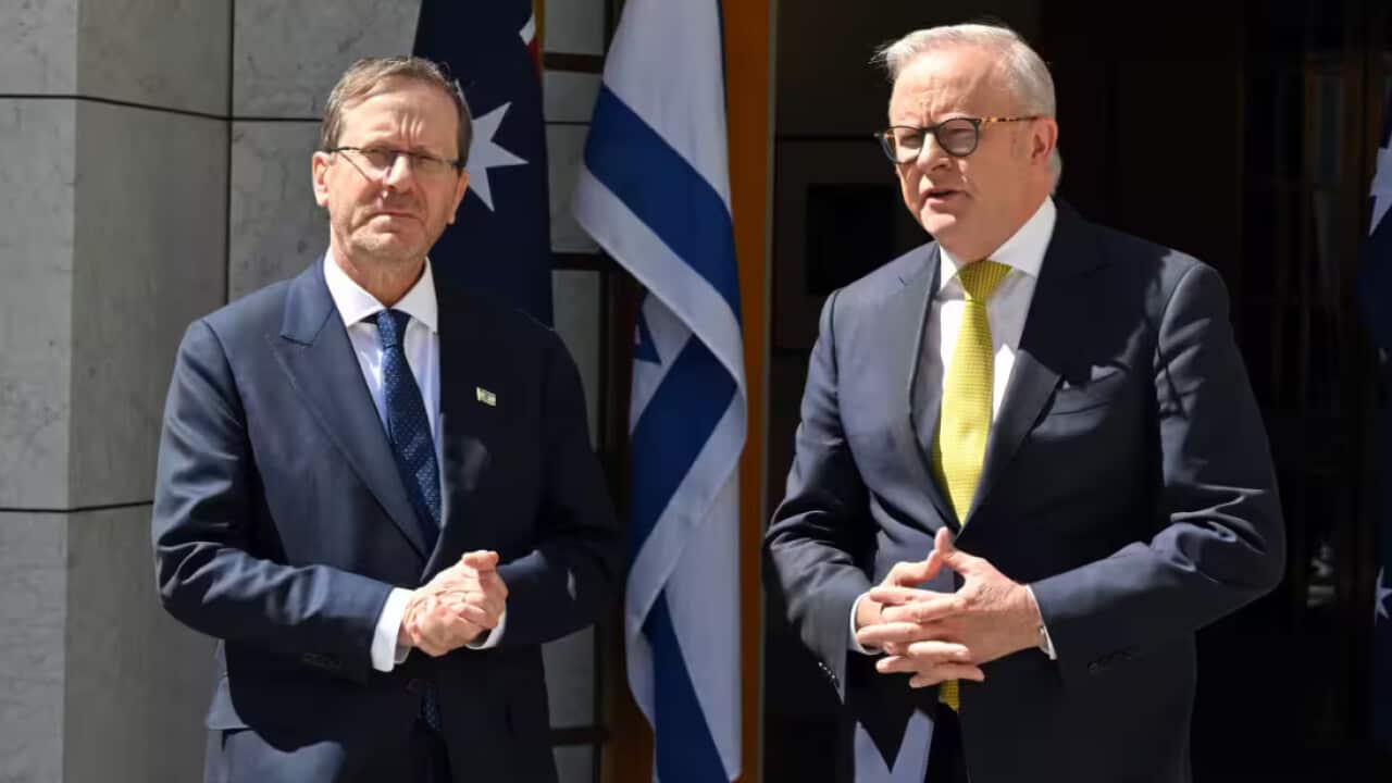 Isaac Herzog met with Prime Minister Anthony Albanese on the steps of parliament. Source: AAP / Mick Tsikas