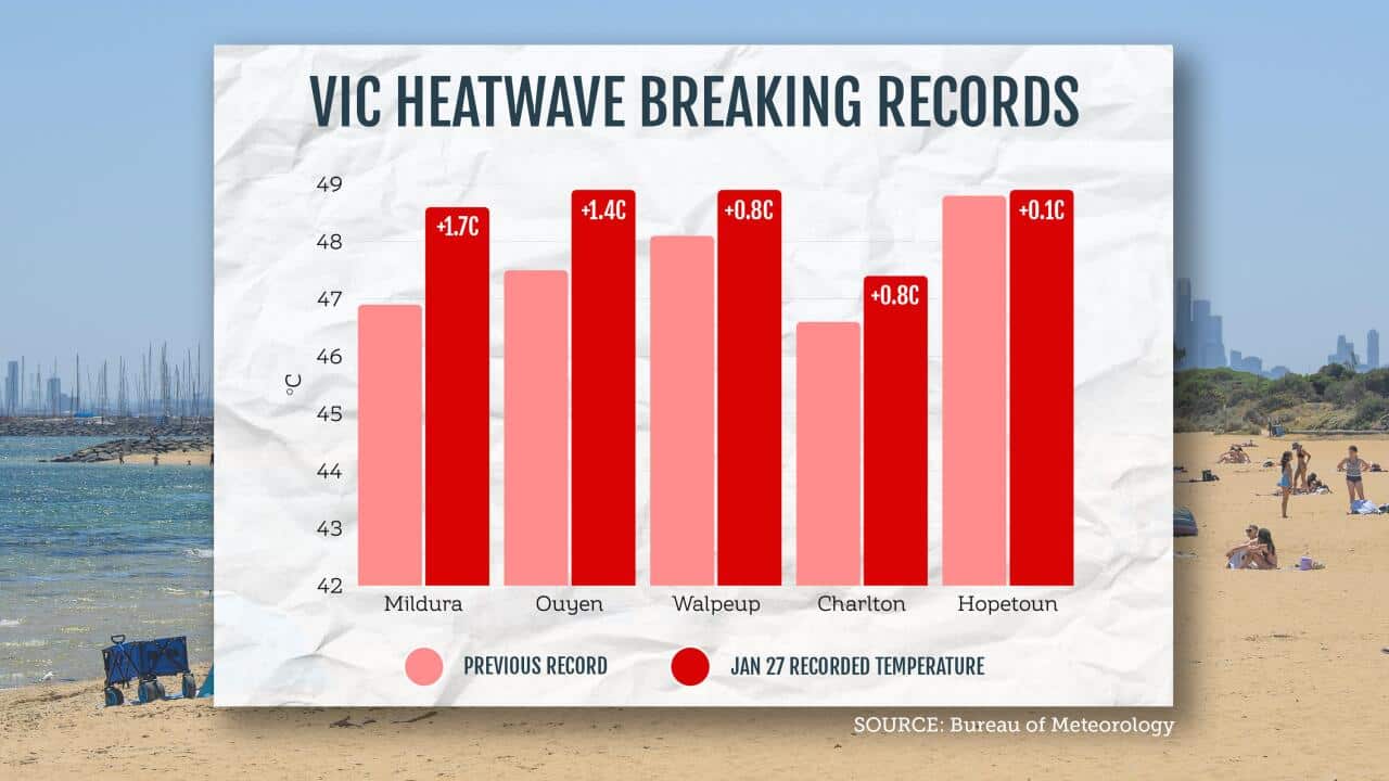 VICTORIA HEATWAVE GRAPHIC