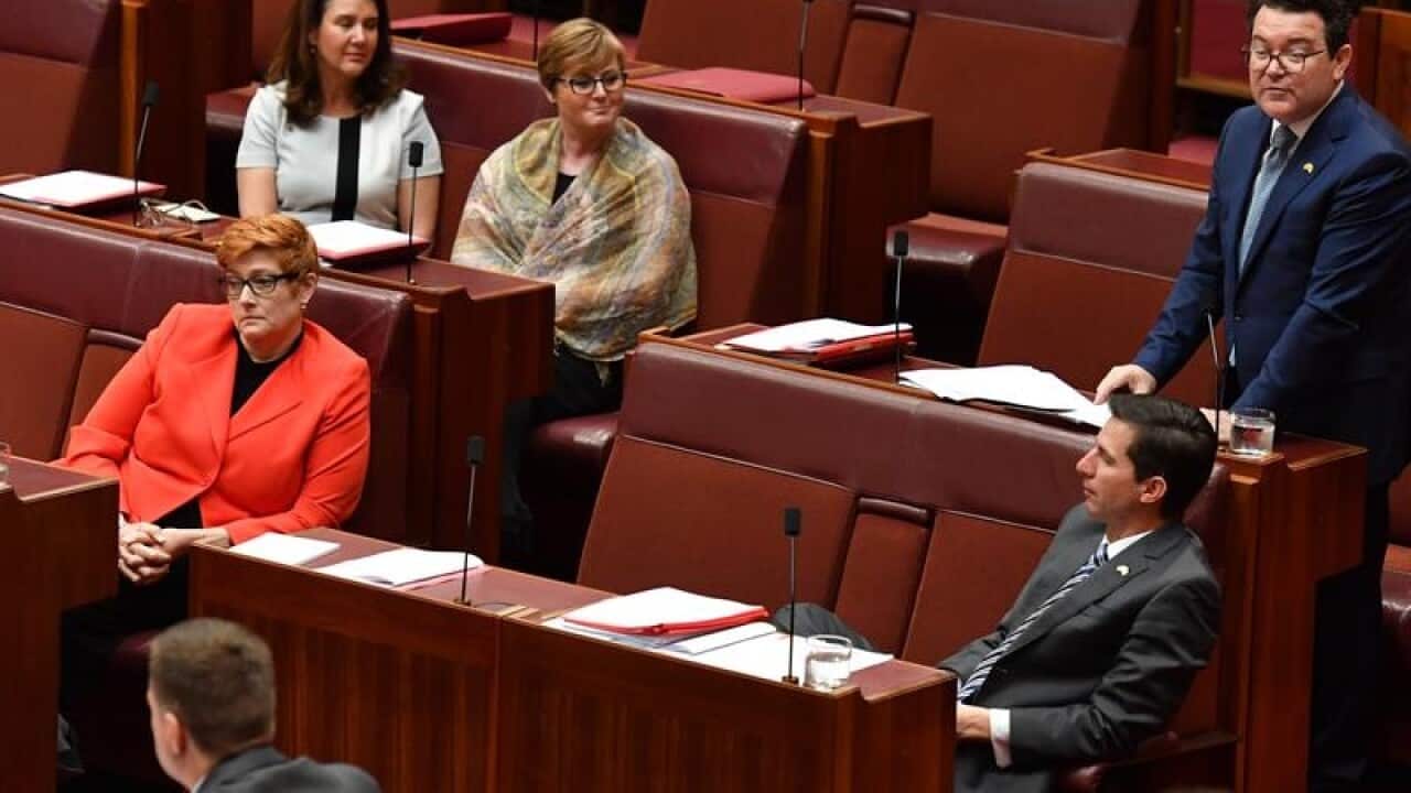 SAME SEX MARRIAGE BILL SENATE DEBATE