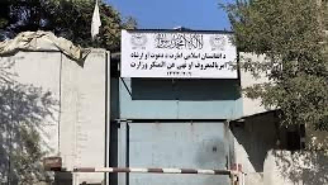 Taliban's ministry of virtue and vice