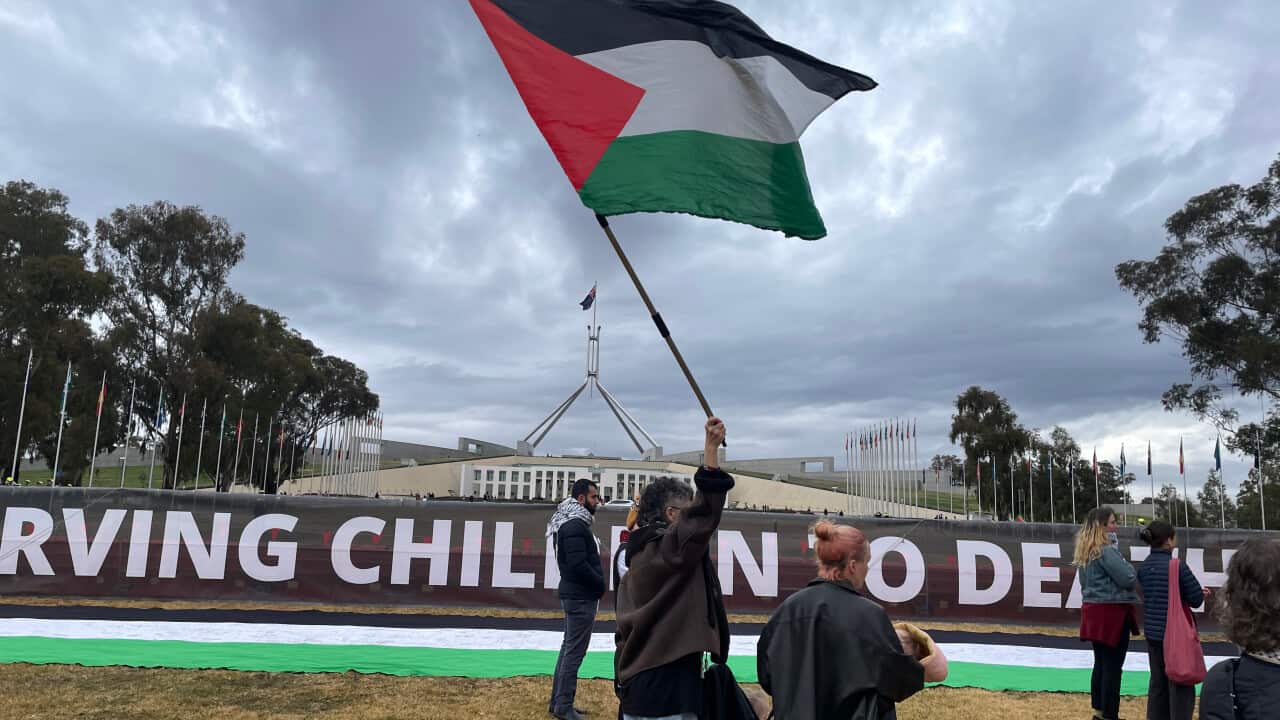 A person holding a Palestinian flag on the lawns of parliament.
