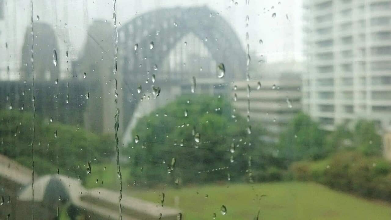 Sydney Harbor Bridge Seen Through Wet Glass Window