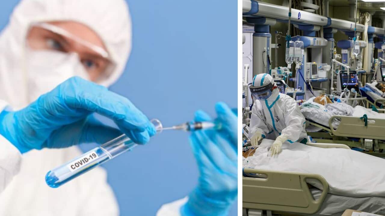 weekly world news wrap