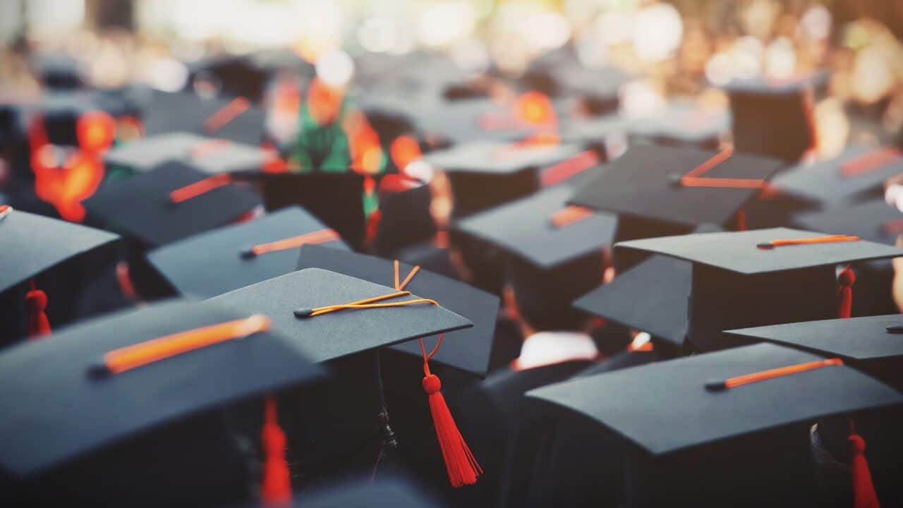 Shot Of Graduation Hats During Commencement Success Graduates Of The University,
