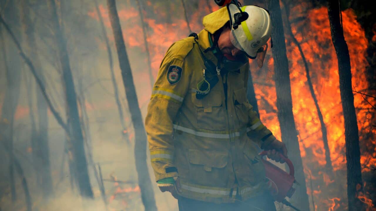 Image for read more article 'READ MORE'