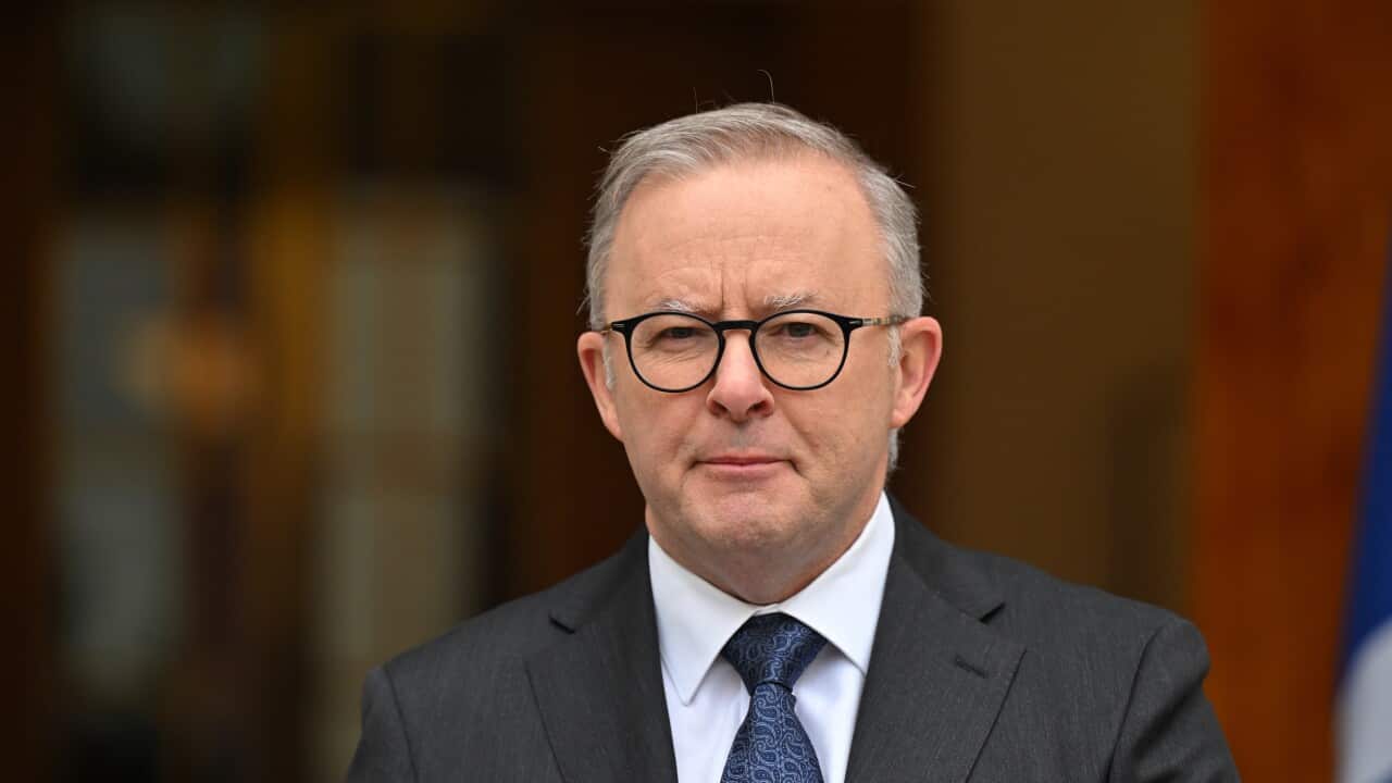 Anthony Albanese speaking