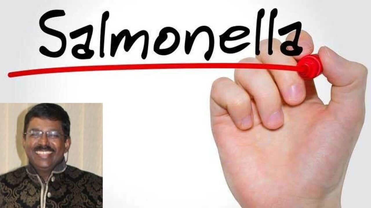 salmonella