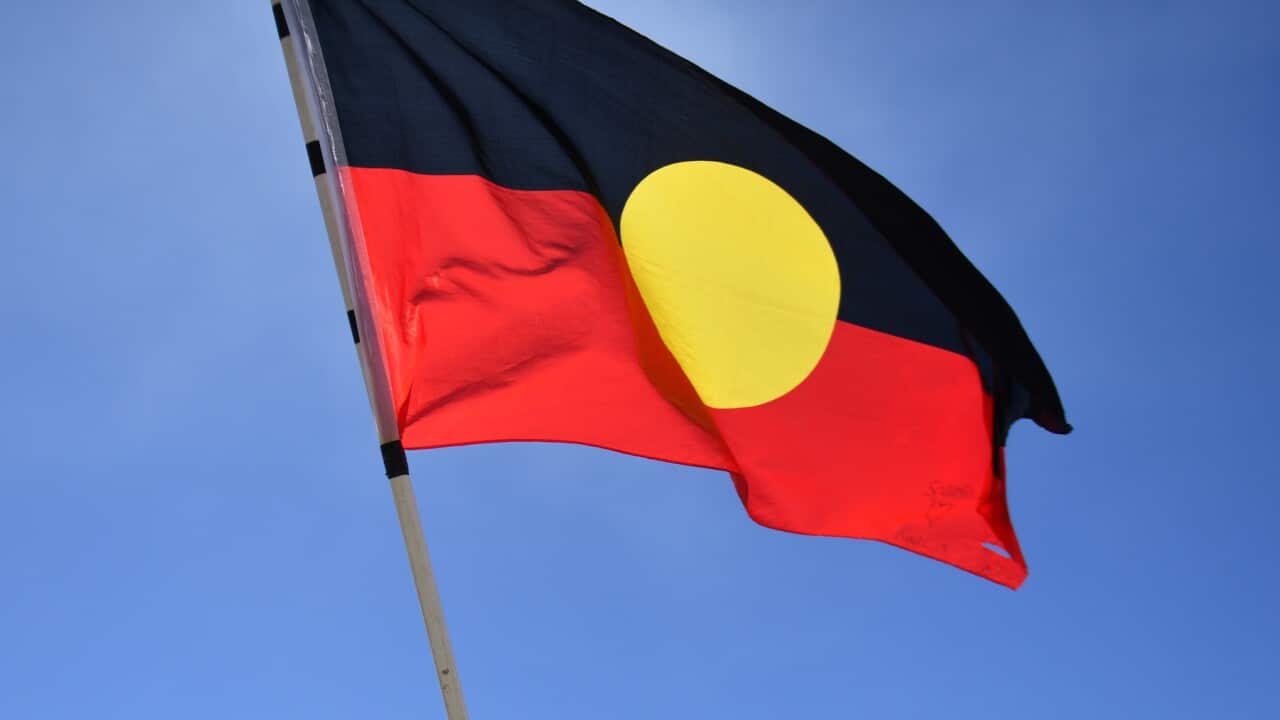 A video of a racialised verbal attack on an Aboriginal artist, which also included an attempt to remove an Indigenous flag, has gone viral.
