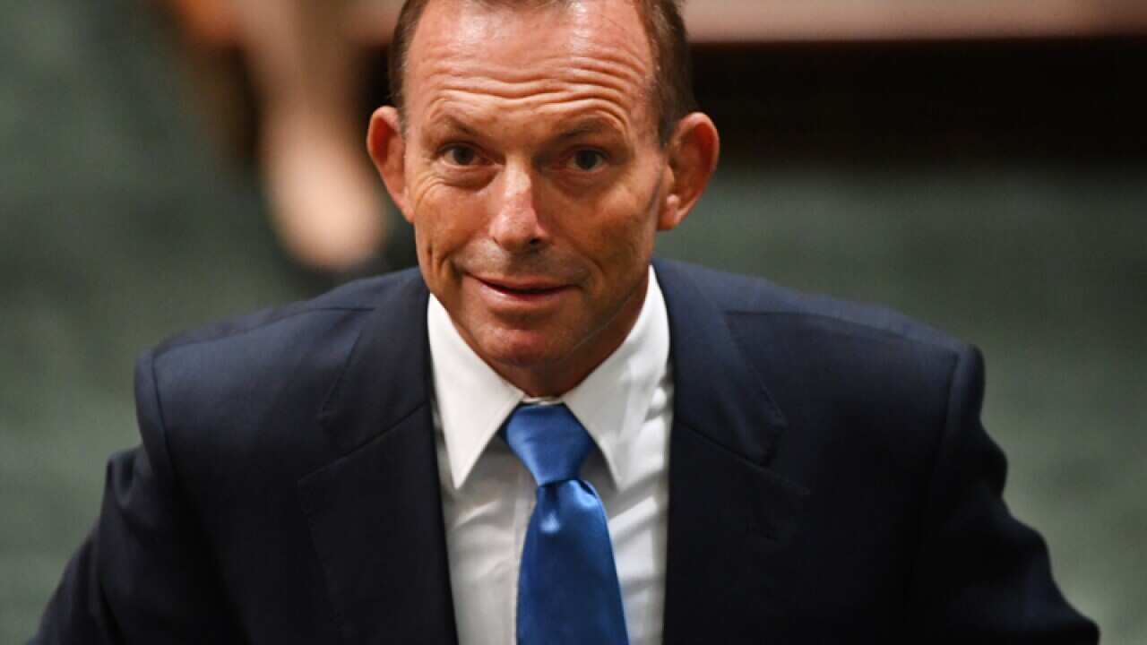Former prime minister Tony Abbott