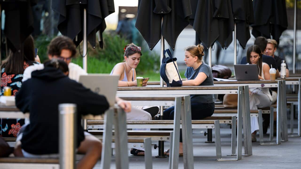 UNIVERSITY STUDENT STOCK