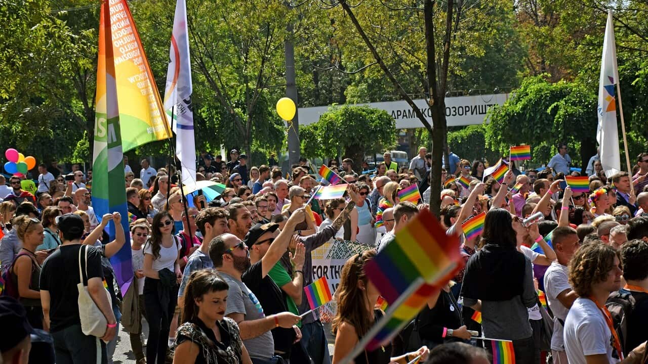 Serbia's lesbian prime minister on September 17 joined hundreds of activists with rainbow flags for Belgrade's annual gay pride march.